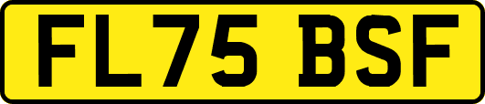 FL75BSF