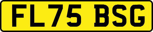 FL75BSG