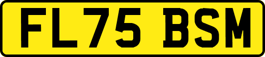 FL75BSM