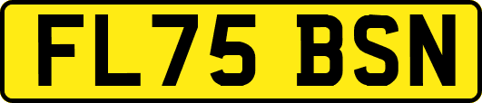 FL75BSN