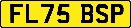 FL75BSP