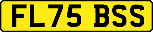 FL75BSS