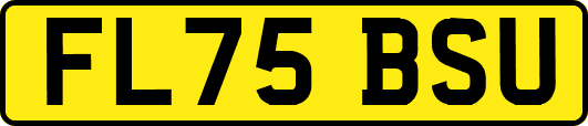 FL75BSU