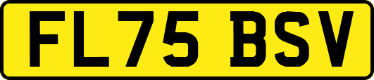 FL75BSV