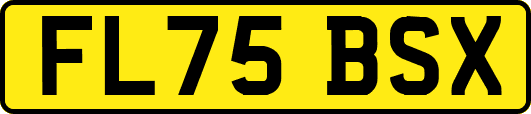 FL75BSX