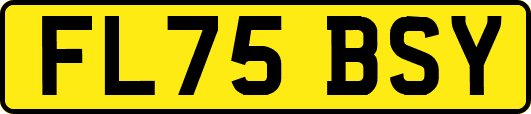 FL75BSY
