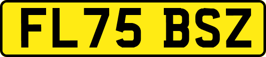 FL75BSZ