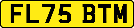 FL75BTM