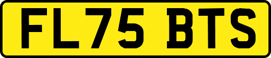 FL75BTS