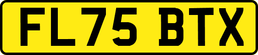 FL75BTX