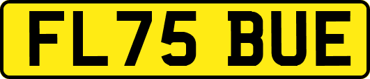 FL75BUE
