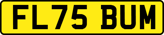 FL75BUM