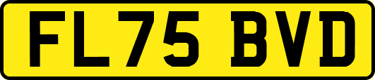 FL75BVD