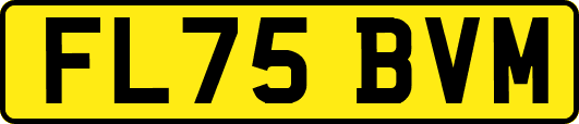 FL75BVM