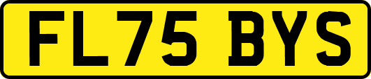 FL75BYS