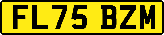 FL75BZM