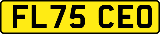FL75CEO