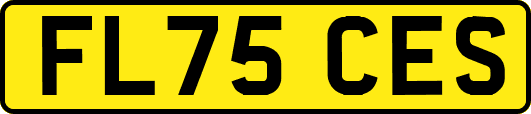 FL75CES