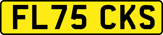 FL75CKS