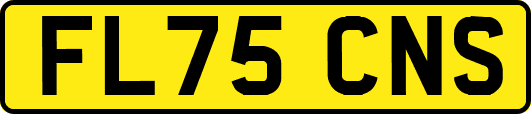 FL75CNS