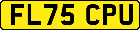 FL75CPU