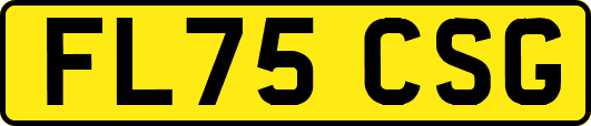 FL75CSG