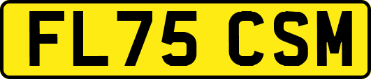 FL75CSM