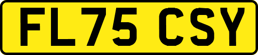FL75CSY