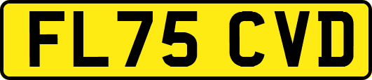 FL75CVD