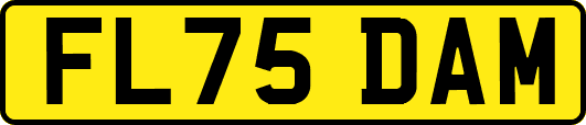 FL75DAM
