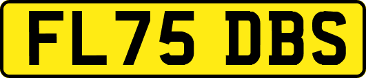 FL75DBS