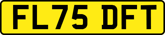 FL75DFT