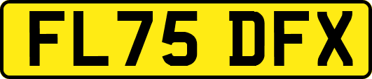 FL75DFX