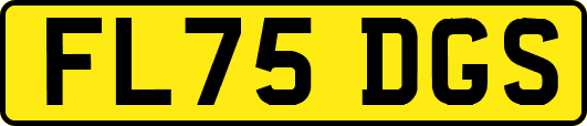 FL75DGS