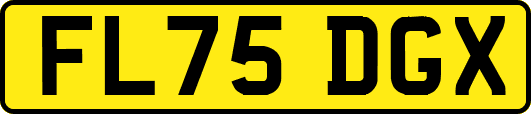 FL75DGX