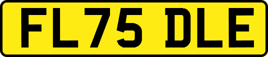 FL75DLE