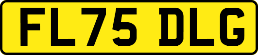 FL75DLG