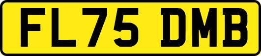 FL75DMB