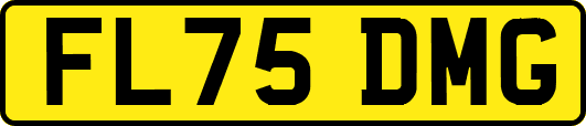 FL75DMG