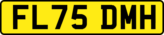 FL75DMH
