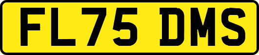 FL75DMS