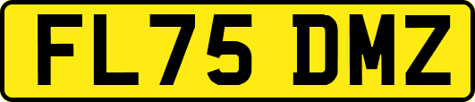 FL75DMZ