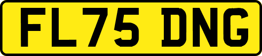 FL75DNG