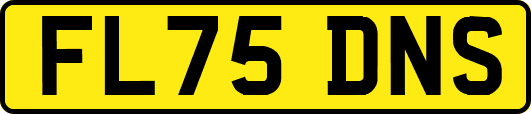FL75DNS