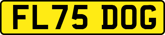 FL75DOG