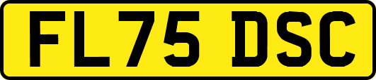 FL75DSC
