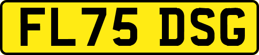 FL75DSG
