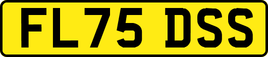 FL75DSS