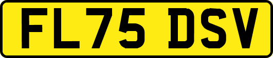 FL75DSV