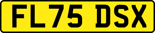 FL75DSX